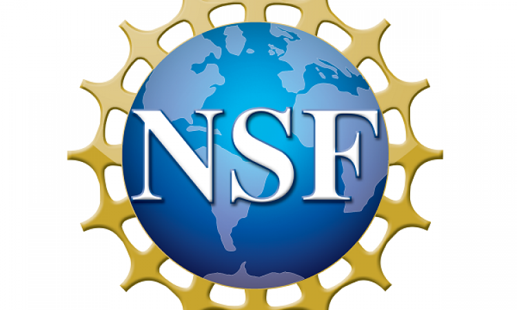 National Science Foundation Grant